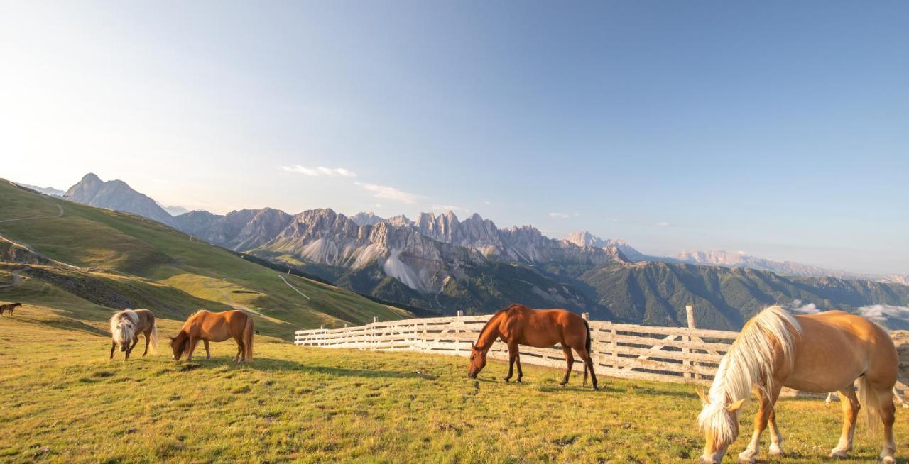 Residence Alpenrose Bressanone Exterior photo